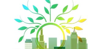 Bio Based Polyethylene Terephthalate Market to Grow at a CAGR of 14.8% during Forecast Period Bio Based Polyethylene Terephthalate Market