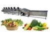 Global Fruit and Vegetable Processing Equipment Market to Surpass USD 5.24 Billion by 2028 Fruit and Vegetable Processing Equipment Market