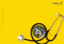 United States Pet Insurance Market Size Set to More than Double at CAGR of 10.6% to Reach Size of USD 3.85 Billion by 2028 United States Pet Insurance Market