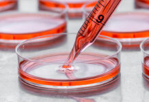 Recombinant Cell Culture Supplements Market to Witness a CAGR of 12.5% during Forecast Period Recombinant Cell Culture Supplements Market