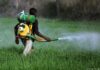 Indian Pesticides Market to Flourish to Cross USD 4 billion by 2028 India Pesticides Market