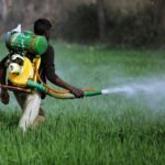 India Pesticides Market