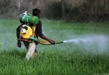 Indian Pesticides Market to Flourish to Cross USD 4 billion by 2028 India Pesticides Market