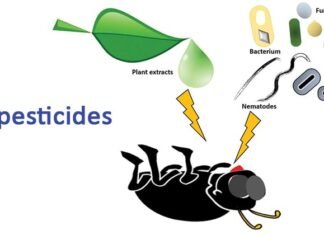 India Biopesticides Market