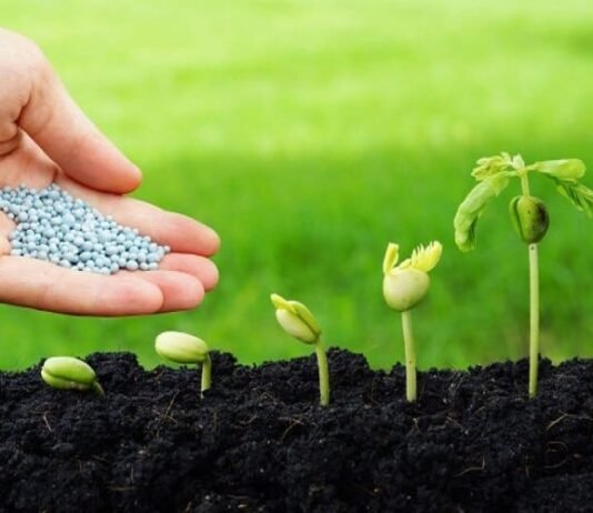 India Biopesticides Market to Witness Double Digit CAGR over Next Five Years India Biopesticides Market
