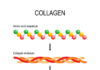Global Collagen Market to Reach USD 6.7 Billion by 2028 Collagen Market
