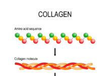 Global Collagen Market to Reach USD 6.7 Billion by 2028 Collagen Market