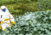 Crop Protection Chemicals Market