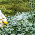 Crop Protection Chemicals Market