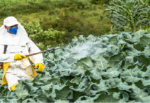 Global Crop Protection Chemicals Market to Grow at a CAGR of 4.4%, during Forecast Period Crop Protection Chemicals Market