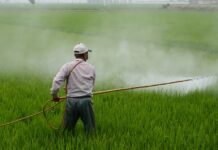 India Pesticides Market to Flourish to Cross USD 4 billion by 2028 India Pesticides Market
