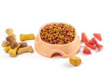 Global Pet Snacks and Treats Market to Grow at a CAGR of 6.2% between 2022 and 2028 Pet Snacks and Treats Market