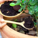 United States Residential Organic Compost Market