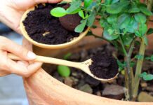 United States Residential Organic Compost Market to Grow at a CAGR of 8.8% during Forecast Period United States Residential Organic Compost Market