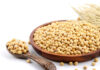 Soy Protein Market