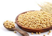 Global Soy Protein Market to Grow at a CAGR of 7.4% during 2023-2028 Soy Protein Market