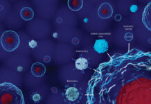 Viral Vector Manufacturing market size to Cross USD 1.5 Billion by 2028 Viral Vector Manufacturing Market