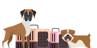 Europe Animal Transportation Market Value Set to Cross USD 481 million by 2028 Europe Animal Transportation Market