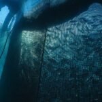 Aquaculture Market