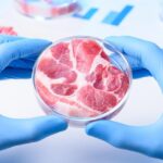 Cultured Meat Market