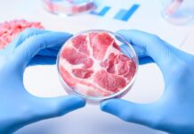 Global Cultured Meat Market to Grow at a CAGR of 17.8% during 2022-2028 Cultured Meat Market