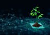 Carbon Neutral Data Center Market Demand, Carbon Neutral Data Center Market Forecast, Carbon Neutral Data Center Market Growth, Carbon Neutral Data Center Market Report, Carbon Neutral Data Center Market Share, Carbon Neutral Data Center Market Size, Carbon Neutral Data Center Market Trend