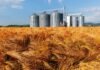 Grain Silos and Storage System