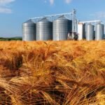 Grain Silos and Storage System