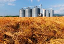 Global Grain Silos and Storage System Market Size Set to Touch USD 2.18 billion by 2028 Grain Silos and Storage System