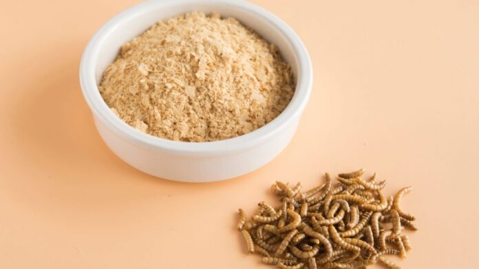 Insects Protein Market