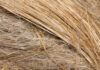 Global Natural Fiber Composites Market Size More Than Doubles to Reach USD 13.4 Billion by 2028 Natural Fiber Composites market