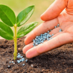 Specialty Fertilizers Market