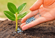 Global Specialty Fertilizers Market Size Set to Touch USD 36 Billion by 2028 Specialty Fertilizers Market