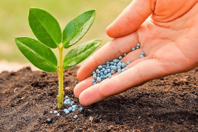 Specialty Fertilizers Market