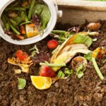 United States Residential Organic Compost Market
