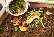 United States Residential Organic Compost Market to Grow at a CAGR of 8.8%, 2022-2028 United States Residential Organic Compost Market
