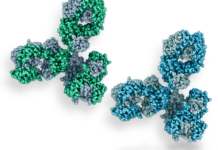 Biosimilars Market Size Zooming to Touch USD 115.4 Billion by 2029 Biosimilars market
