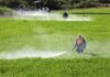 India Crop Protection Chemicals Market