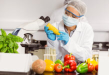 Global Food Safety Testing Market Size Booming to Cross USD 44.5 Billion by 2029 Food Safety Testing Market