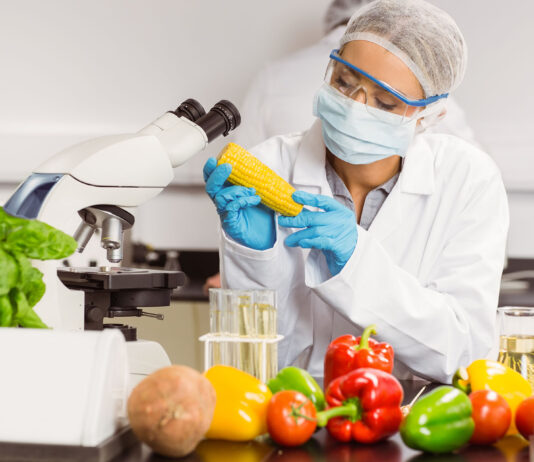 Global Food Safety Testing Market Size Booming to Cross USD 44.5 Billion by 2029 Food Safety Testing Market