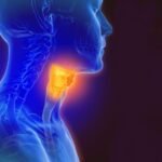 Head and Neck Cancer Therapeutics Market