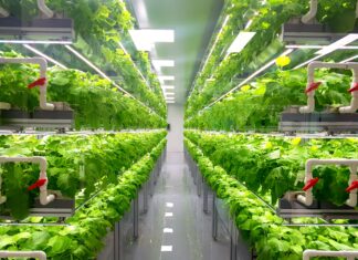 Global Indoor Farming Market to Grow at a CAGR of 10.20% in the Forecast Period Indoor Farming Market