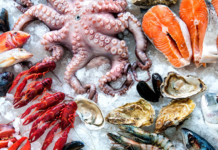 Saudi Arabia Seafood Market Size Set to Touch USD 1.46 billion by 2028 Saudi Arabia Seafood Market