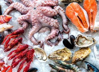 Saudi Arabia Seafood Market Size Set to Touch USD 1.46 billion by 2028 Saudi Arabia Seafood Market