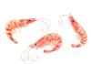 Saudi Arabia Shrimp Market