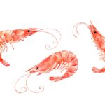 Saudi Arabia Shrimp Market