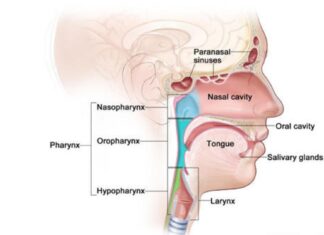 Head and Neck Cancer Therapeutics Market Demand, Head and Neck Cancer Therapeutics Market Forecast, Head and Neck Cancer Therapeutics Market Growth, Head and Neck Cancer Therapeutics Market Report, Head and Neck Cancer Therapeutics Market Share, Head and Neck Cancer Therapeutics Market Size, Head and Neck Cancer Therapeutics Market Trend