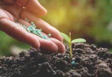 Global Biofertilizers Market is Forecast to Grow at a CAGR of 11.70% in the Forecast Period Biofertilizers Market