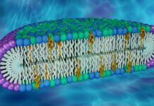 Global Membranes Market Size Booming to Touch USD 10.4 Billion by 2029 Membranes Market