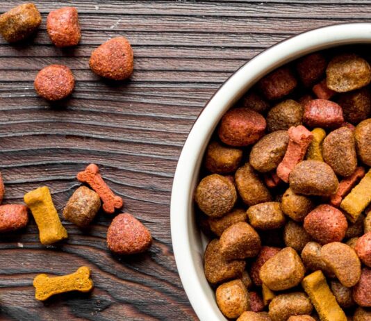 Saudi Arabia Pet Food Market is to Grow at a CAGR of 8.20% through 2028 Saudi Arabia Pet Food Market